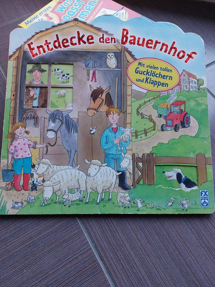 Verschiedene tolle Kinderbücher........ in Westerholt