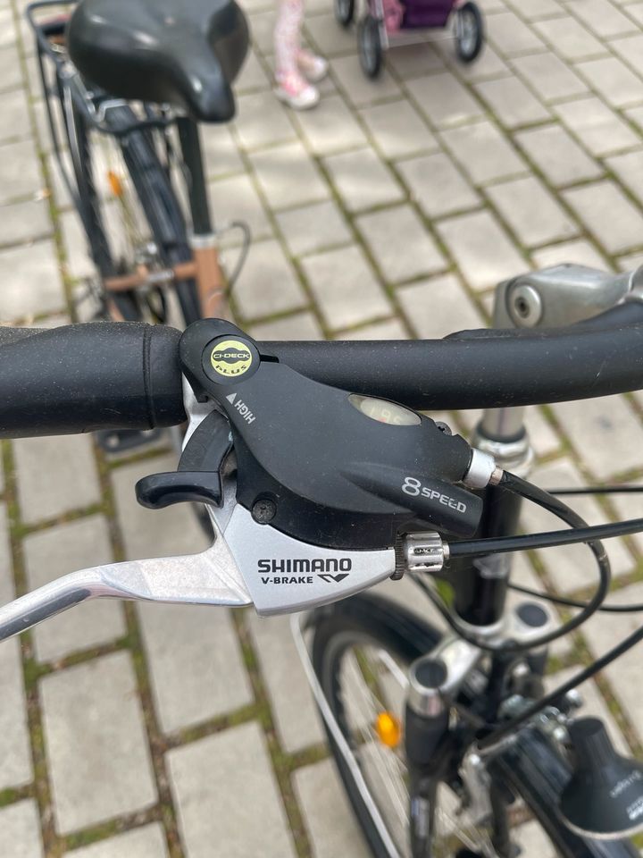 Damenfahrrad enik 28 Zoll in Mühlheim am Main