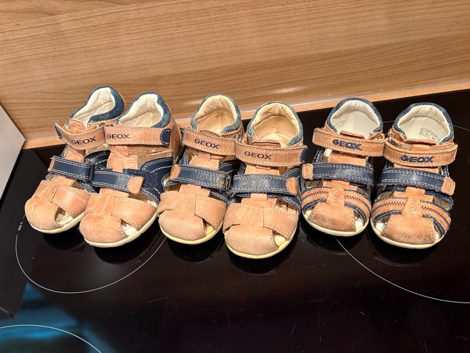 Geox Ledersandale B Kaytan B.C caramel navy cognac 23, 22 und 20 in Neusorg
