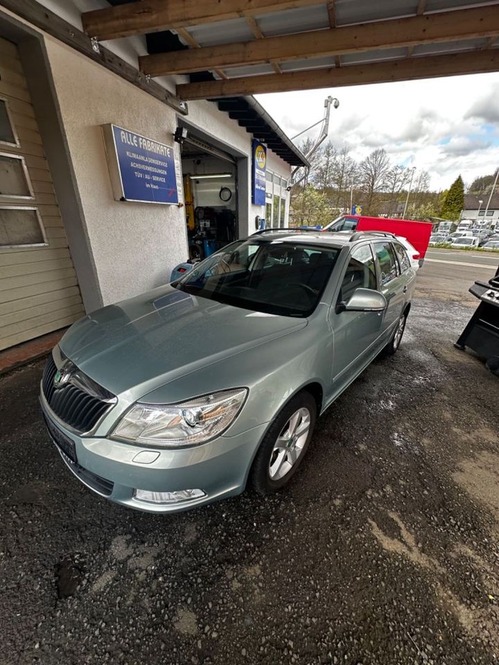 Skoda Octavia Combi Family in Niederbrombach