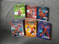 Minecraft Bücher Tagebuch eines Noobs 6 Bände Top Zustand! Bergedorf - Hamburg Lohbrügge Vorschau