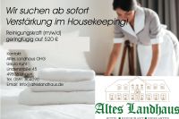 Reinigungskraft / Mitarbeiter Houseekeeping (m/w/d) Niedersachsen - Lingen (Ems) Vorschau