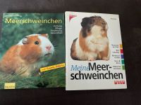 2x Meerschweinchen Buch - Richtige Haltung Rheinland-Pfalz - Waldalgesheim Vorschau