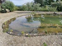 Fischteich Gartenteich Nordrhein-Westfalen - Rüthen Vorschau