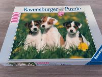 Ravensburger Puzzle - 1000 Teile - Hunde - Welpen Niedersachsen - Verden Vorschau