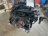 Ford Fiesta MK7 JA8 1,0 EcoBoost SFJA Motor Triebwerk Engine Nordrhein-Westfalen - Dorsten Vorschau