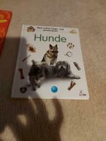 *Mein erstes Frage- und Antwortbuch Hund** Brandenburg - Großbeeren Vorschau