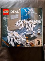 LEGO® IDEAS Set 21320 Dinosaurier-Fossilien NEU/OVP Bayern - Traitsching Vorschau