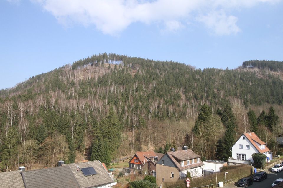 Eigentumswohnung Lautenthal mit tollem Talblick in Lautenthal