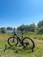 Fischer EBike 29“ Schleswig-Holstein - Flensburg Vorschau