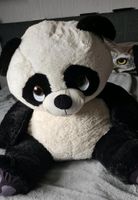 XXL Panda Bär Kuscheltier Niedersachsen - Upgant-Schott Vorschau