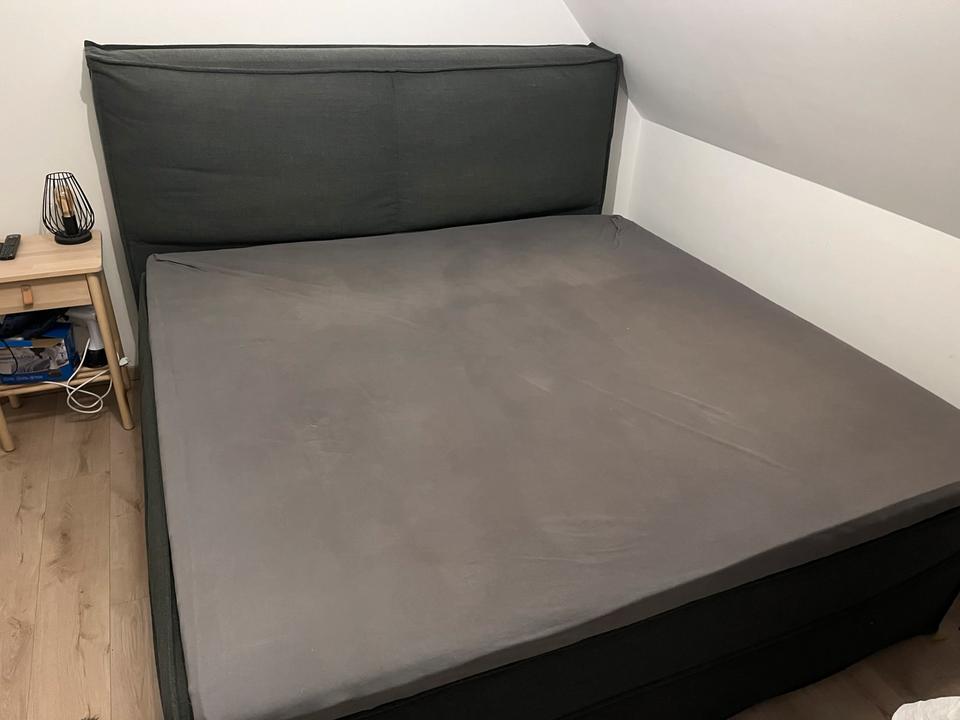 Boxspring Bett 2m x 2m mit Topper (Neupreis 3000€) Boxspringbett in Lengede