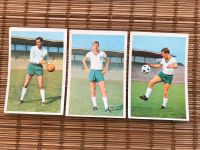 Fußball 3 Sammelbilder Bergmann 1966/67 Spieler Werder Bremen Ubstadt-Weiher - OT Weiher Vorschau
