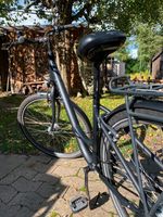 Damenfahrrad 28 Zoll Raleigh Devon 7 Bielefeld - Bielefeld (Innenstadt) Vorschau