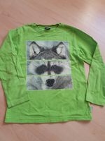 Jako-o Langarmshirt Käfer Waschbär Gr 128/134 Neu Nürnberg (Mittelfr) - Oststadt Vorschau