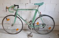 Bianchi caurus Rennrad Rheinland-Pfalz - Frankweiler Vorschau