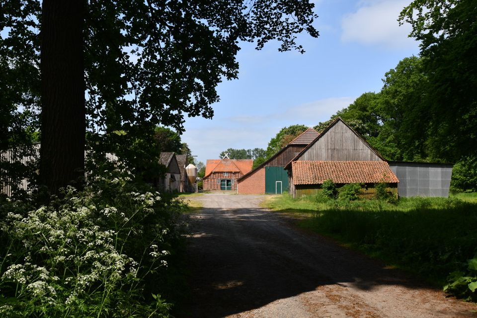 Repräsentative Hofanlage mit Nebengebäuden und ca. 17,5 ha. in traumhafter Alleinlage in Twistringen