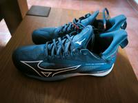 Hallenschuhe, Mizuno Wave Mirage 4, Gr 40,5 Saarland - Wadern Vorschau