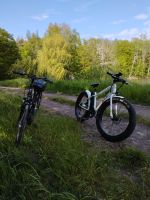 E-Fett-Bike 26"Tolle Optik/Unikat/Inzahlung/Tausch/Bitte lesen !! Sachsen-Anhalt - Halle Vorschau