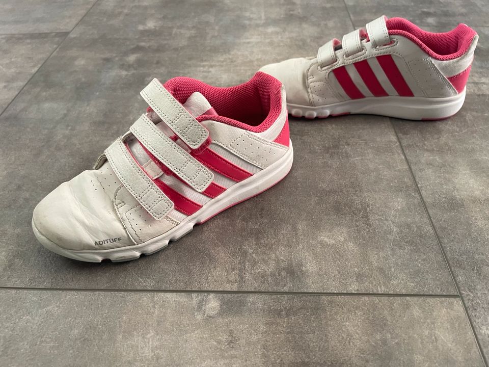 Adidas Turnschuhe, Hallenschuhe, Schuhe! Sneaker Größe 35 in Braunschweig