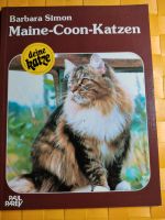 Maine Coon Katzen Schleswig-Holstein - Wittenborn Vorschau