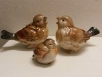 Vogel -Familie ,Keramik, Porzellan, Niedersachsen - Bad Gandersheim Vorschau