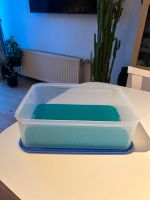 Tupperware Kompaktus / Frischebehälter 9,4 Liter München - Berg-am-Laim Vorschau