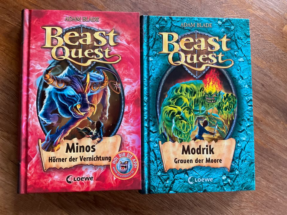 Beast Quest Bücher (Bd. 34 und Bd. 50) zu verkaufen in Marburg