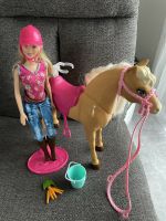 Mattel BJX85 Futter und Schmuse-Spaß Tawny, Reiter Barbie Brandenburg - Zossen Vorschau