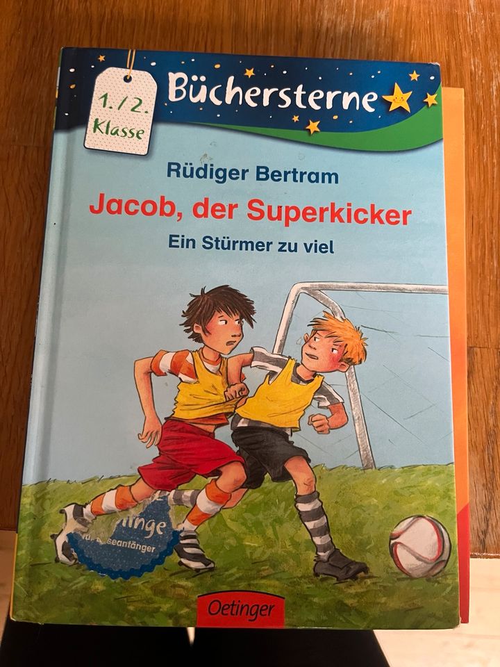 Erstlesebücher jedes Buch 2,50€ in Bodenheim