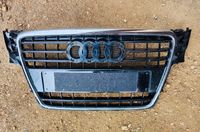 Audi A4 B8 Grill Sachsen - Kirchberg Vorschau