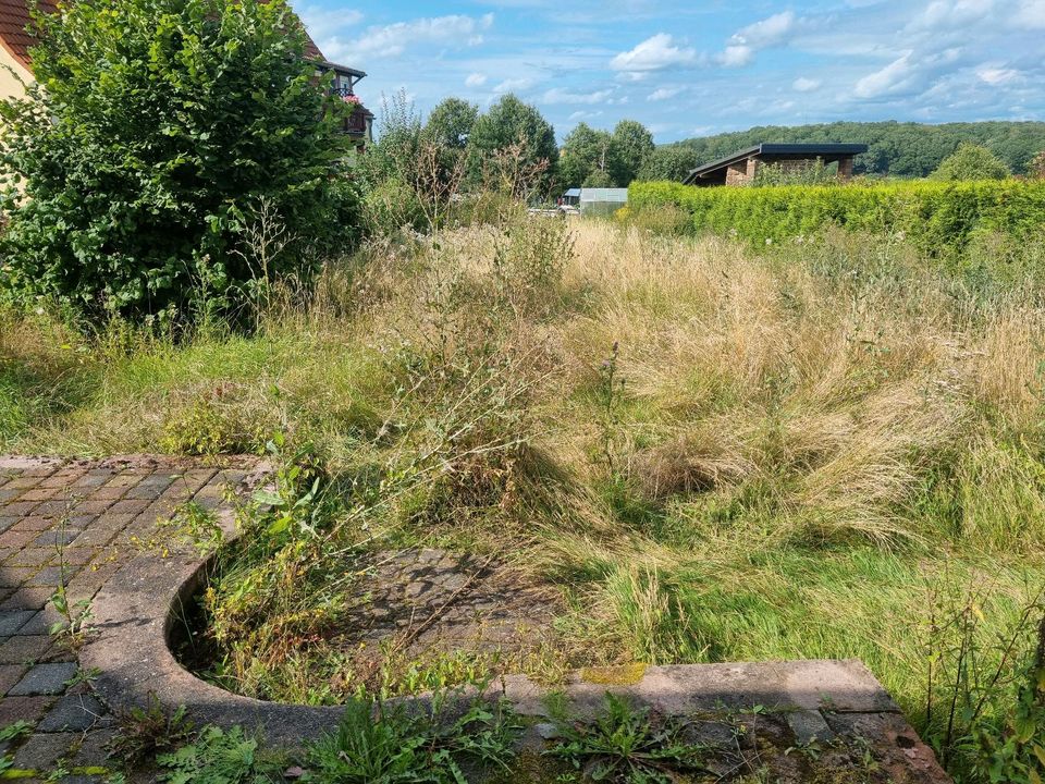 Gärtner. Biete Arbeiten rund ums Haus, Hof und Garten an in Saarbrücken