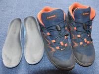 Lowa Innox Evo GTX Wanderschuhe Gr 40 39 Niedersachsen - Braunschweig Vorschau