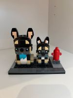 Lego Set 40544 Brickheadz Pets French Bulldog and Puppy Nordrhein-Westfalen - Bottrop Vorschau