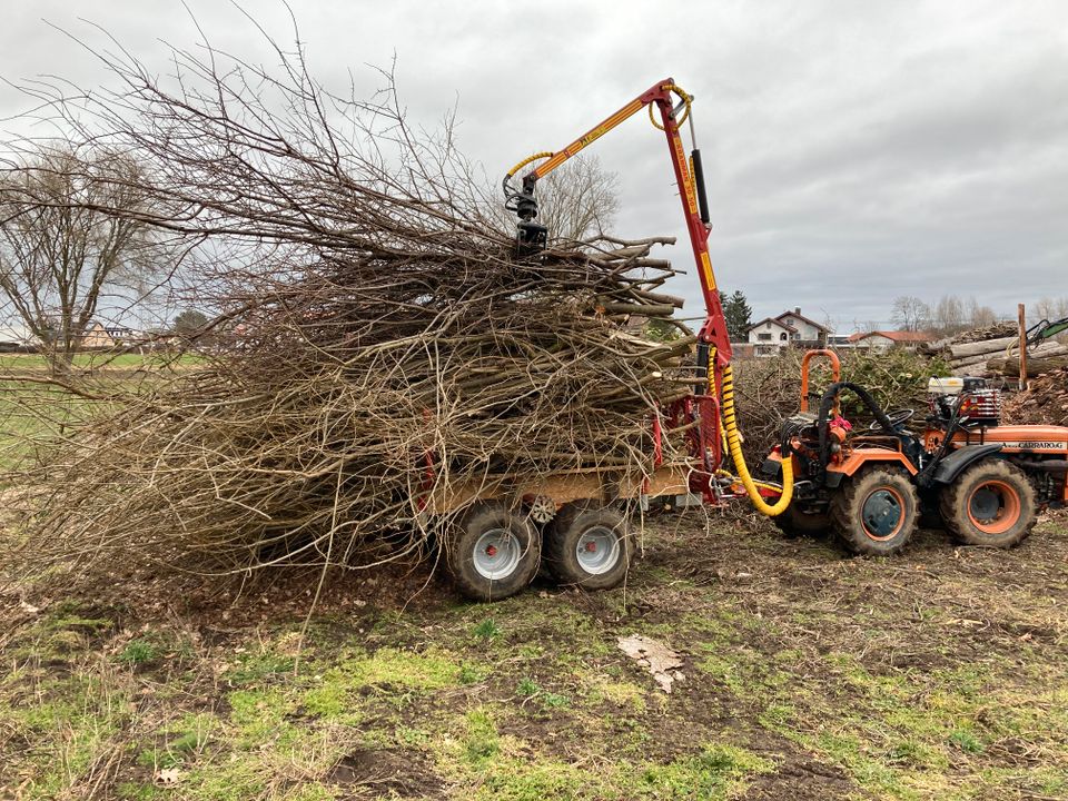 Holzrücken, Transport, Waldarbeit, Mini Rückewagen in Fürth