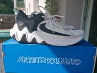Nike Basketball Schuhe, Gr. 44 Thüringen - Meiningen Vorschau