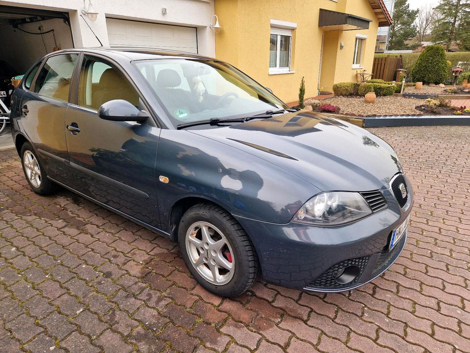 Seat Ibiza in Munster