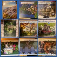 Puzzle 1000 Teile, Ravensburger Rheinland-Pfalz - Neuhofen Vorschau