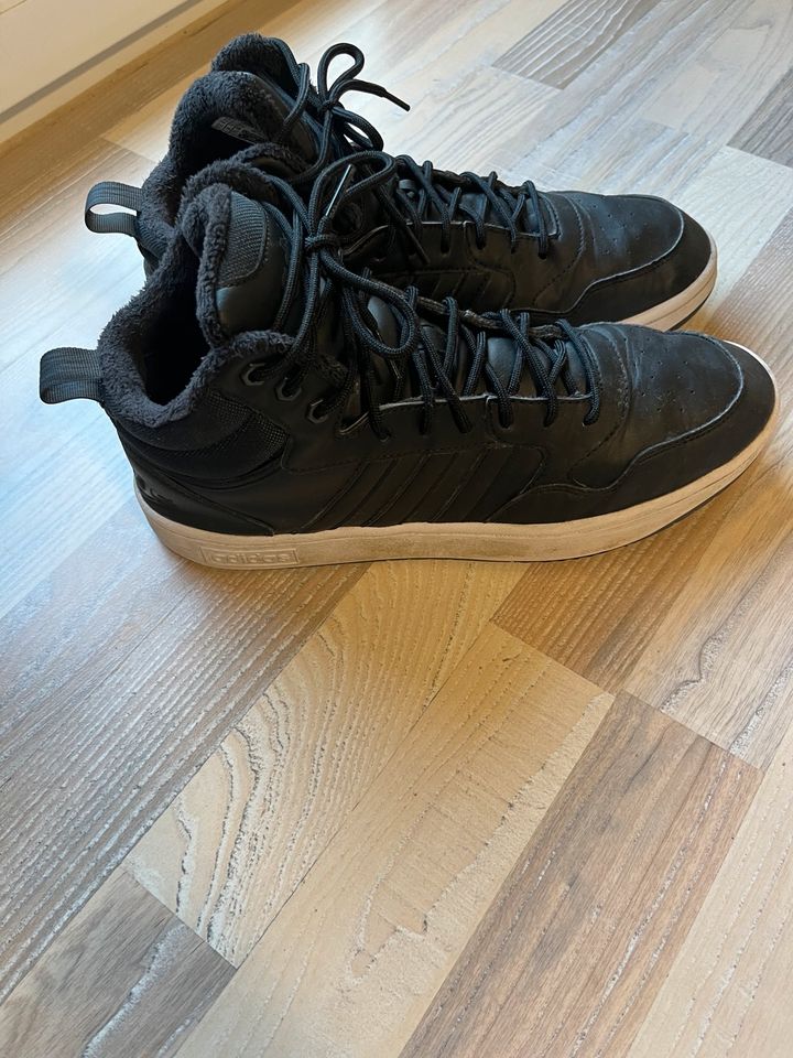 Adidas High Sneaker in Bad Homburg