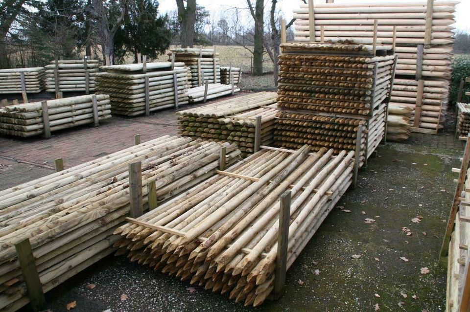 Baumpfähle - Zaunpfähle - Holzpfähle - 5 x 250 cm - imprägniert - in Wagenfeld