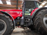 Massey Ferguson 8280 Xtra, MF 8280 xtra Brandenburg - Gosen-Neu Zittau Vorschau