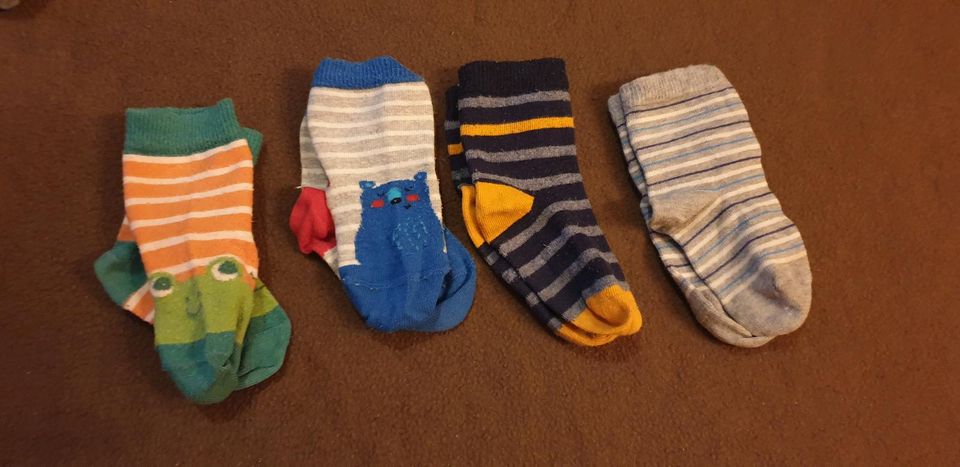 Socken 23-26 in Hainburg