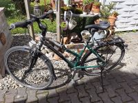 Steppenwolf Transterra Fahrrad Bayern - Ichenhausen Vorschau