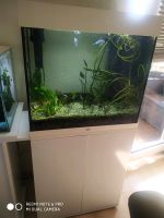 Juwel Aquarium 120 l Hannover - Linden-Limmer Vorschau