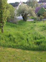 Stehendes Gras zu verschenken Bayern - Weißenhorn Vorschau
