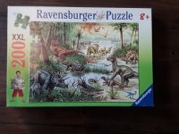 Dinosaurier Puzzle Ravensburger Nordrhein-Westfalen - Rhede Vorschau