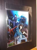 Solo Leveling Acryl Stand Anime Schleswig-Holstein - Nortorf Vorschau