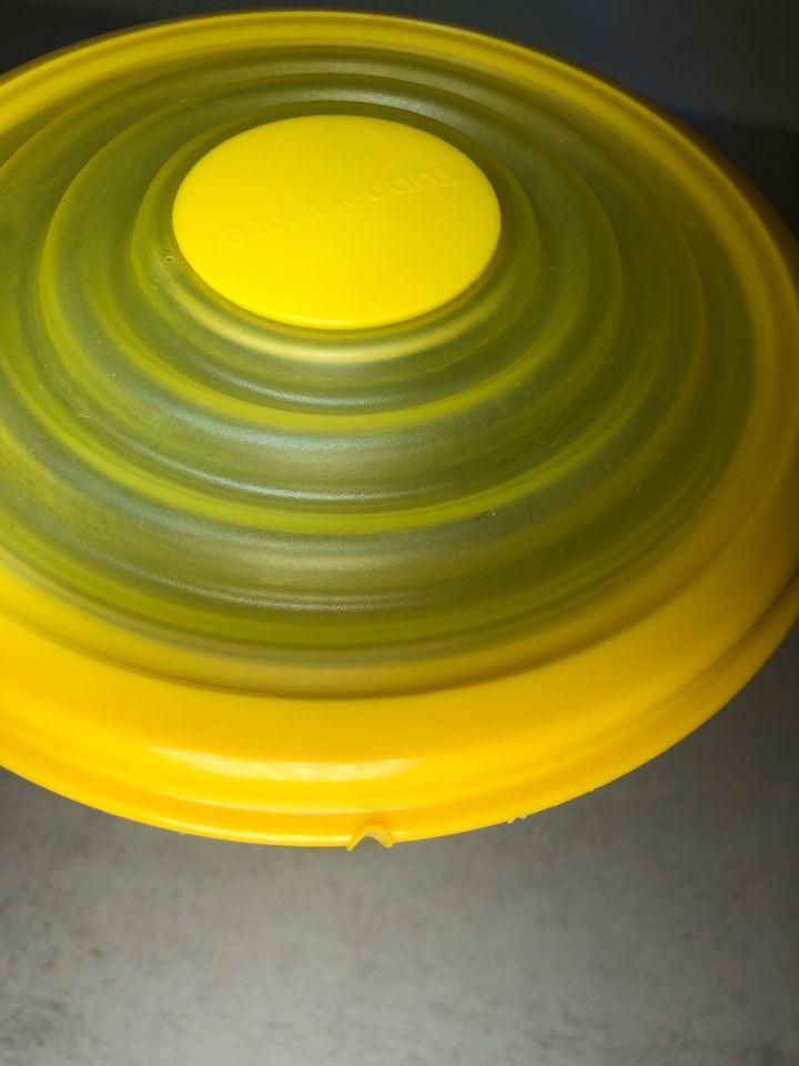 Tupperware Bungee 800 ml, gelb, flexibler Deckel in Minden