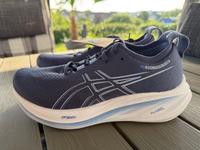 Asics Gel Nimbus 26 Neu Gr. 41,5 Laufschuh Herren Rheinland-Pfalz - Wittgert Vorschau