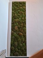 Markenmooswand von Greenstyle 140 cm x 40 cm Bayern - Denkendorf Vorschau